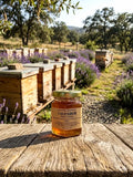Lavanda infusionada